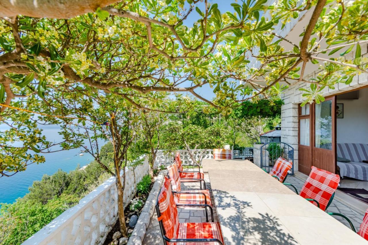 Villa Kosa 布雷拉 客房 照片